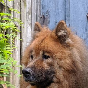 Meet your Posher, Dianne